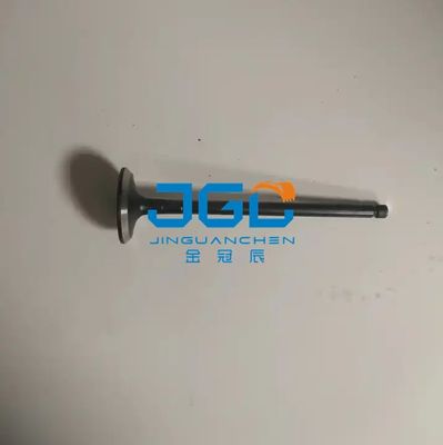 Motore J08E J05S di Exhaust Valve For dell'escavatore VHS137151733