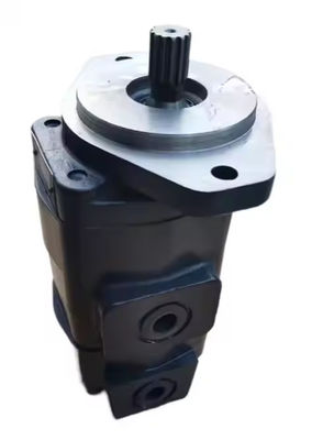 EC360 EC330 EC460 Pompa di ingranaggi 14530502 14531413 14576326 14573559 14880006 14561971 2M1436